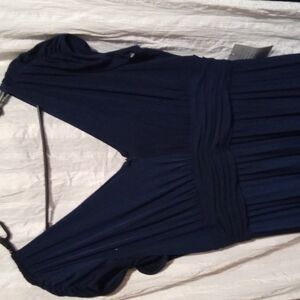 Ivy and Blu dress size 12
